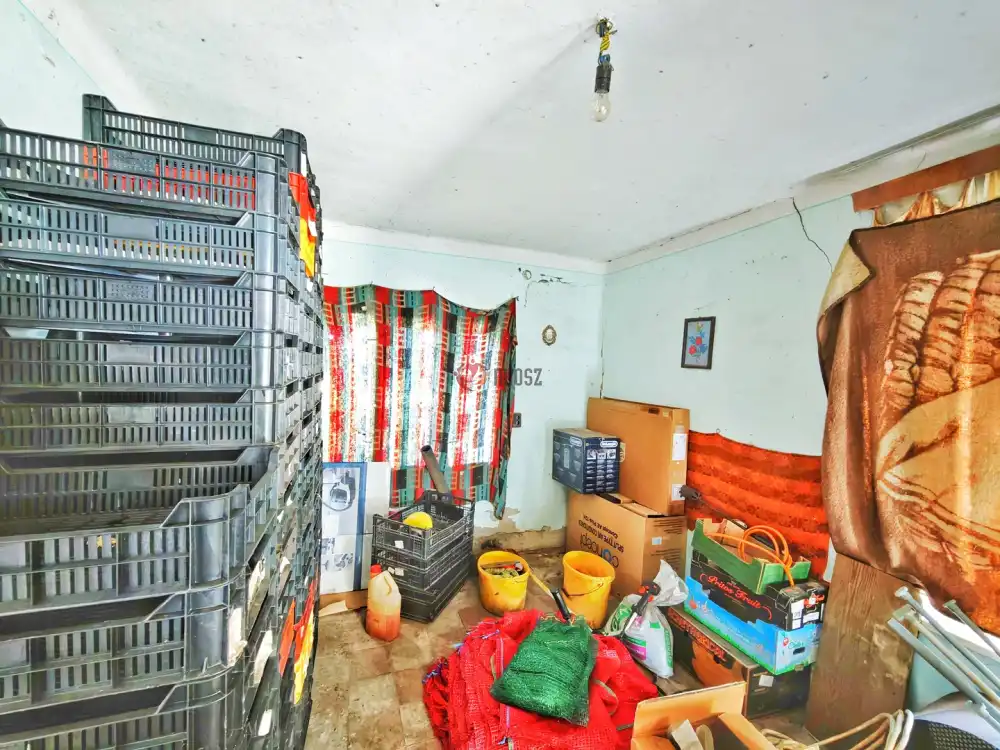 Csongrád megye - Forráskút