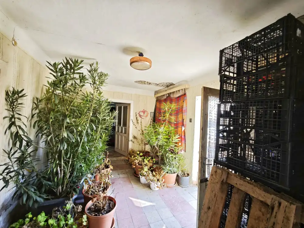 Csongrád megye - Forráskút