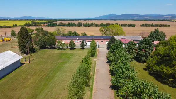 Eladó tanya, Héhalom 8 szoba 308 m² 210 M Ft