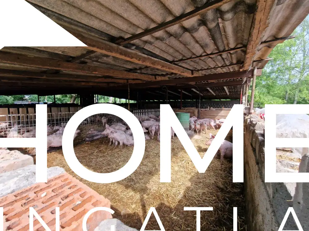 Bács-Kiskun megye - Kiskőrös