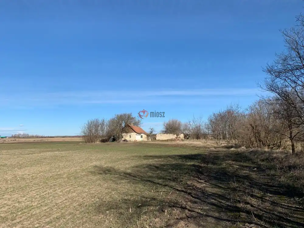 Bács-Kiskun megye - Kiskunfélegyháza