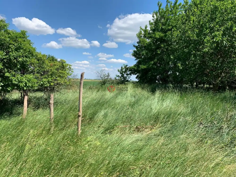 Bács-Kiskun megye - Kiskunfélegyháza