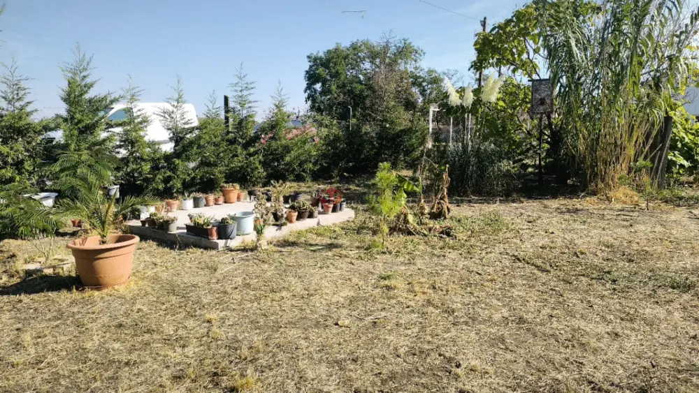 Csongrád megye - Kistelek