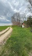 Bács-Kiskun megye - Kunszentmiklós