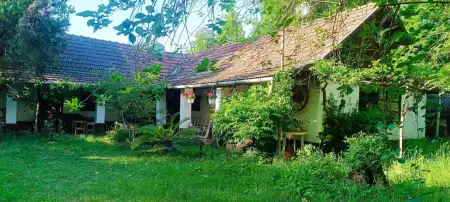 eladó tanya, Kunszentmiklós