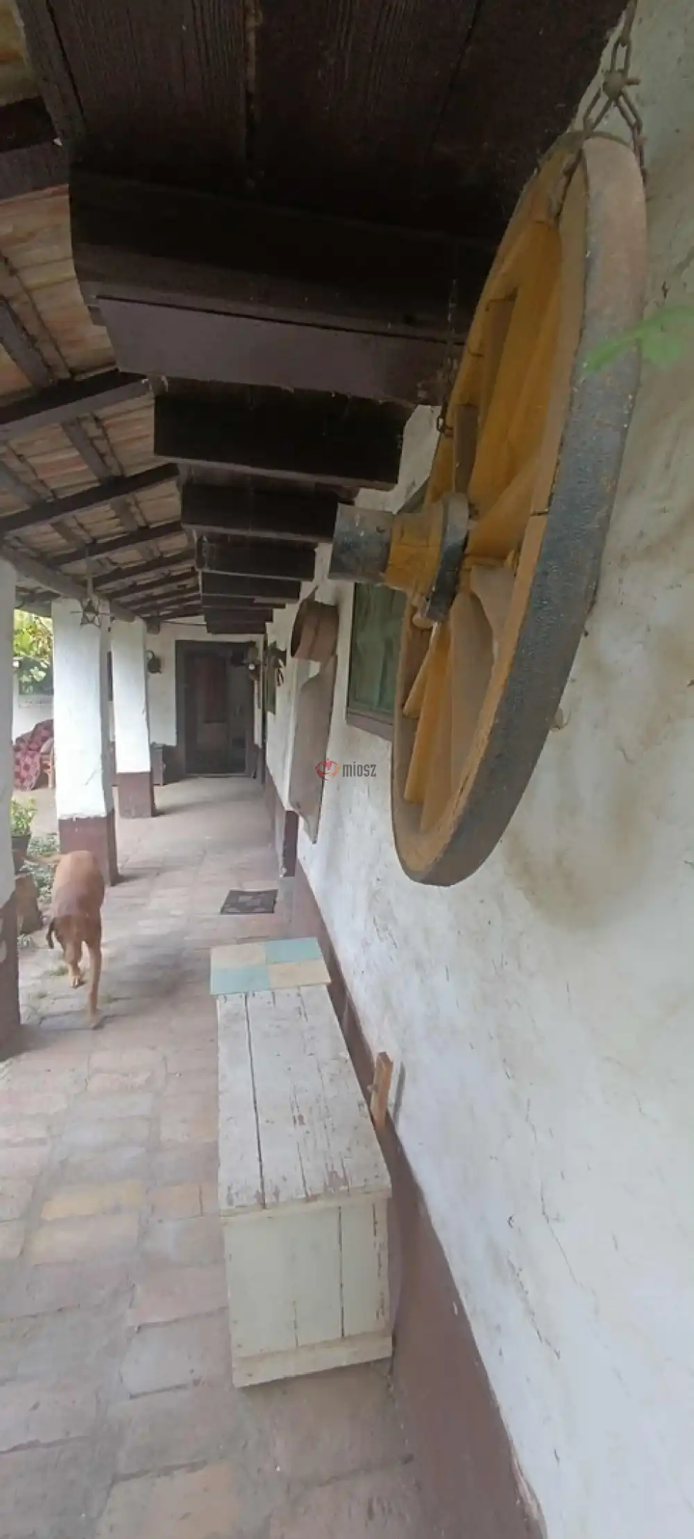 Bács-Kiskun megye - Kunszentmiklós