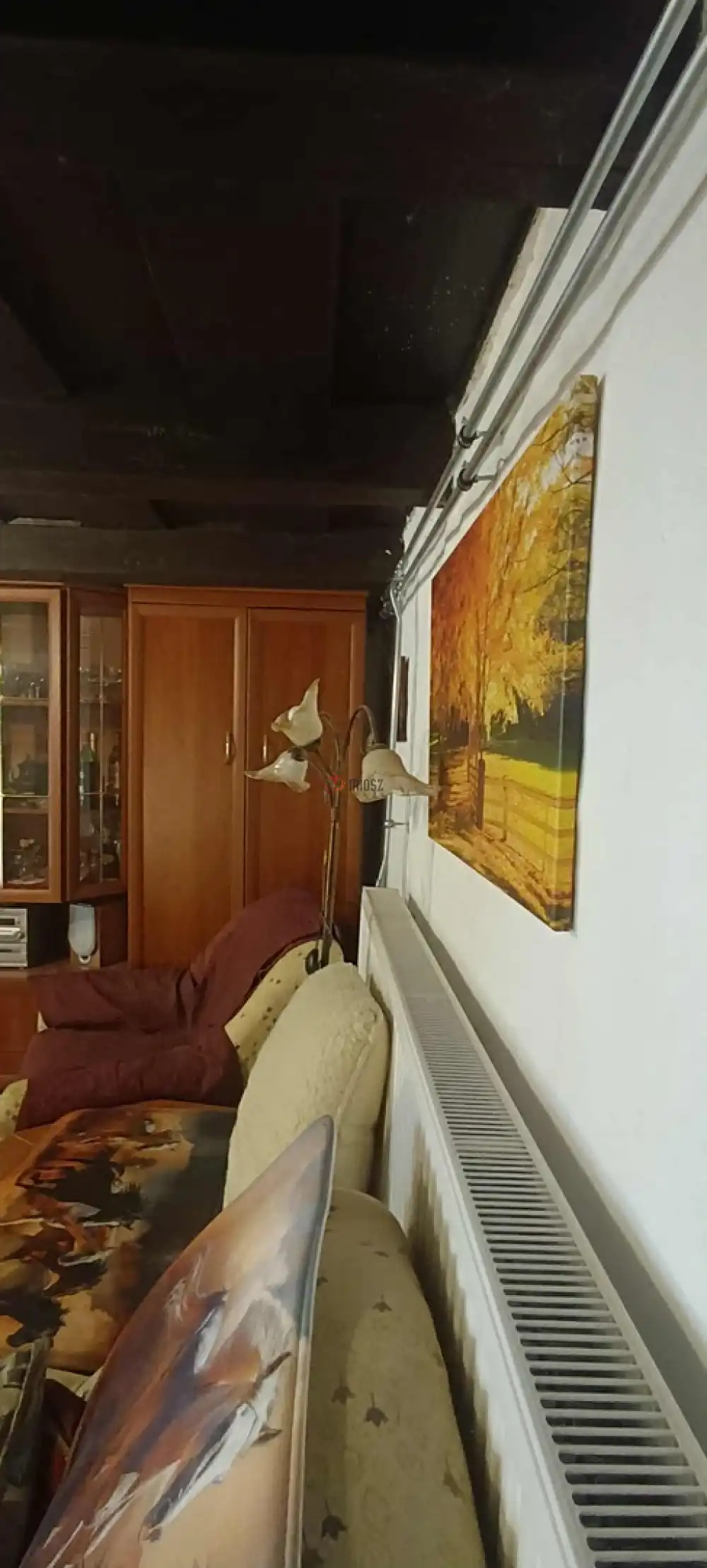 Bács-Kiskun megye - Kunszentmiklós