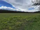 Bács-Kiskun megye - Lajosmizse
