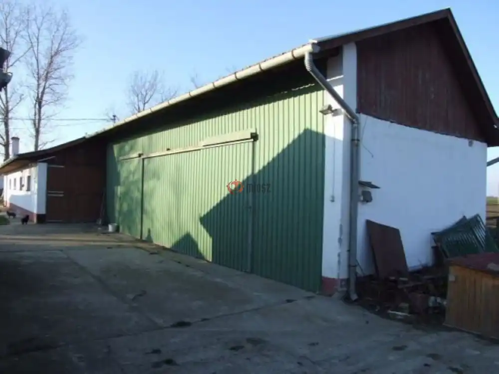 Békés megye - Mezőhegyes