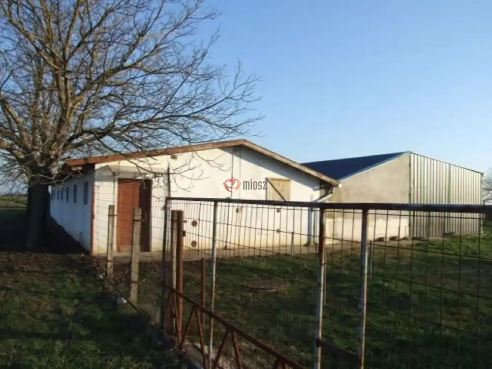 Békés megye - Mezőhegyes