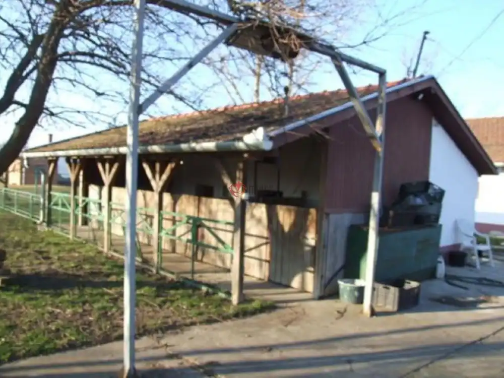 Békés megye - Mezőhegyes