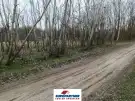 Pest megye - Mikebuda