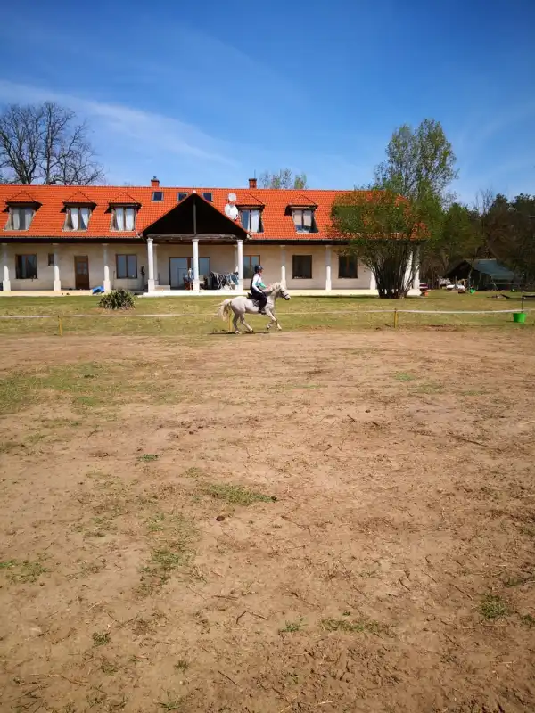 Eladó tanya, Ócsa 5 szoba 400 m² 135 M Ft