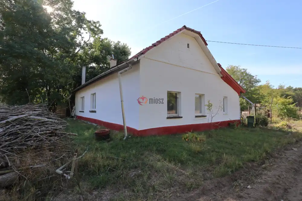 Csongrád megye - Ópusztaszer
