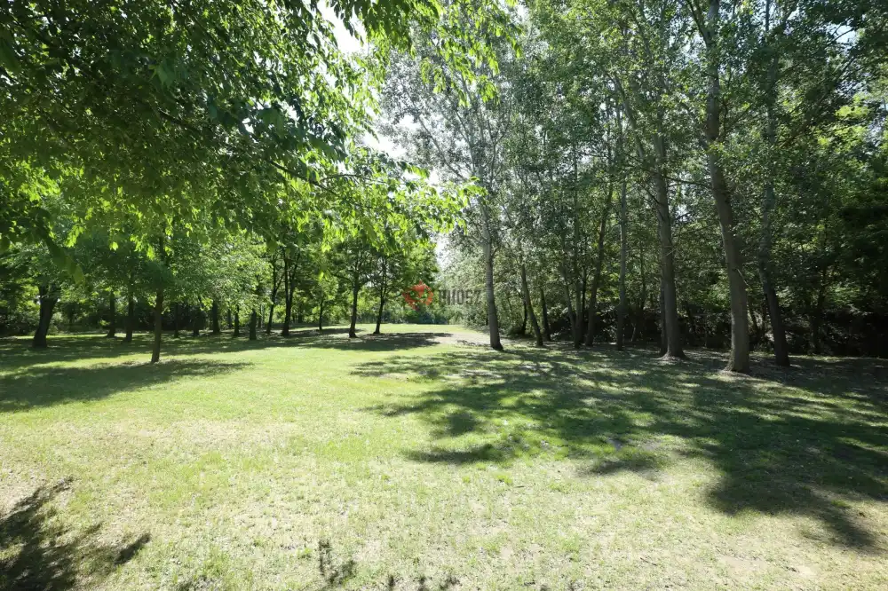 Csongrád megye - Ópusztaszer