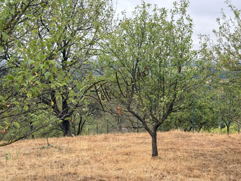 Komárom-Esztergom megye - Oroszlány