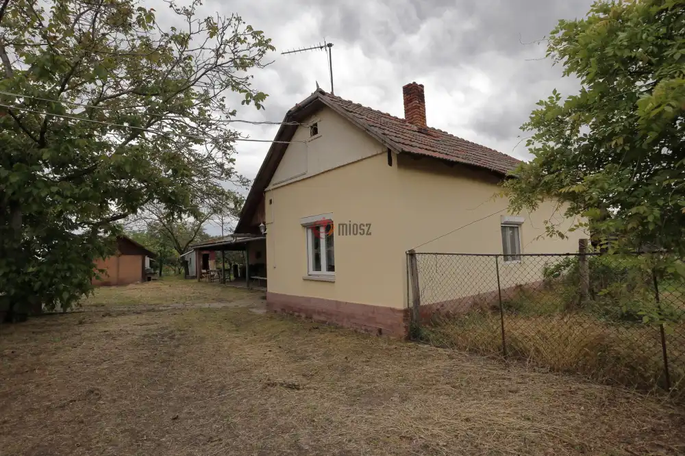 Csongrád megye - Sándorfalva