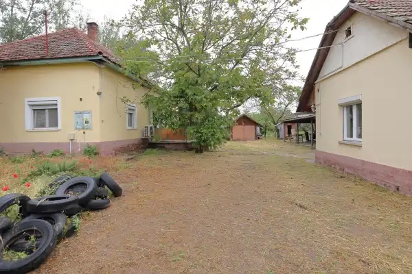 Eladó tanya, Sándorfalva 3 szoba 88 m² 34.9 M Ft