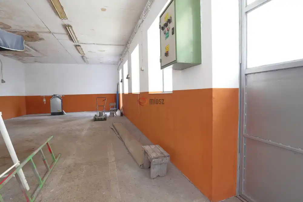 Csongrád megye - Sándorfalva