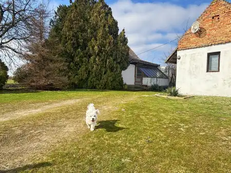 eladó tanya, Szatymaz