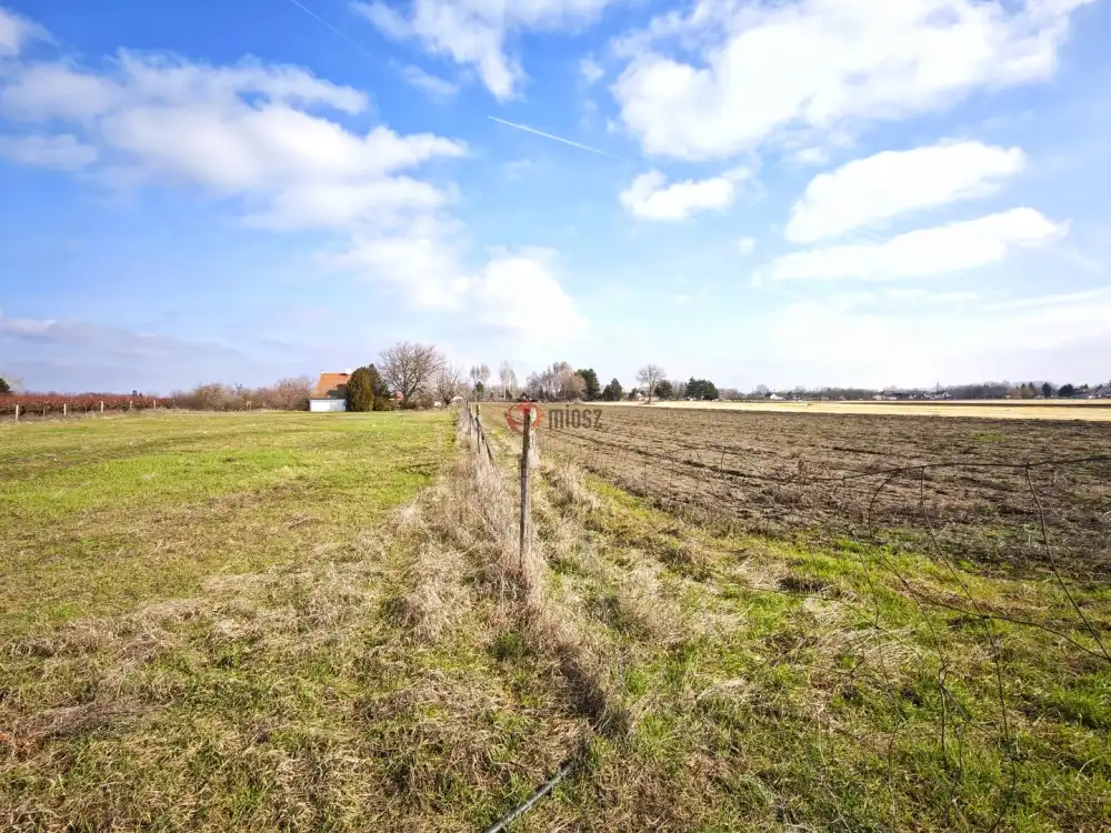 Csongrád megye - Szatymaz