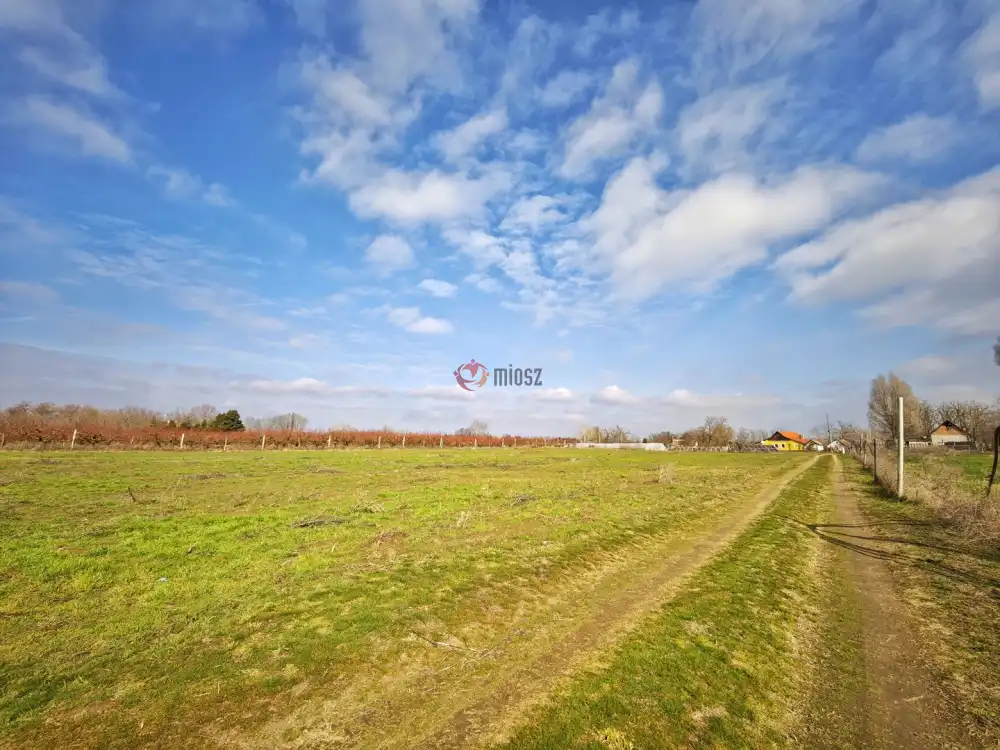 Csongrád megye - Szatymaz