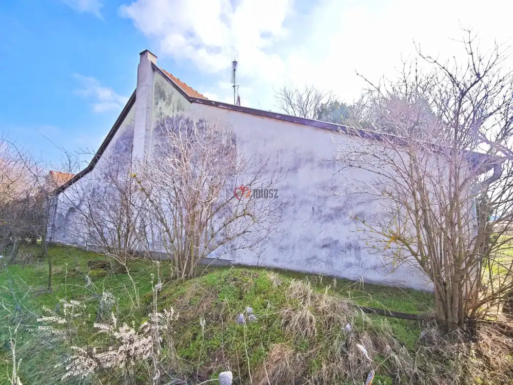 Csongrád megye - Szatymaz