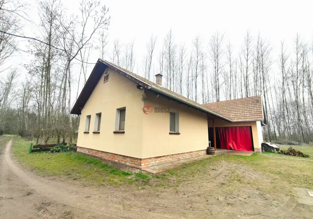 Csongrád megye - Szatymaz