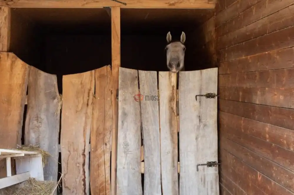 Tolna megye - Szekszárd