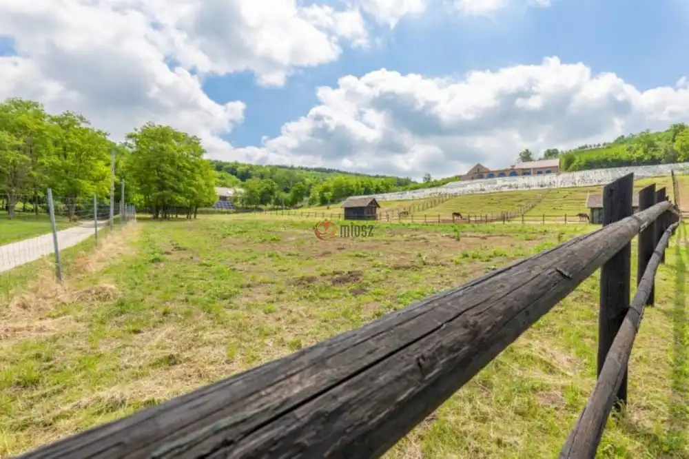 Tolna megye - Szekszárd