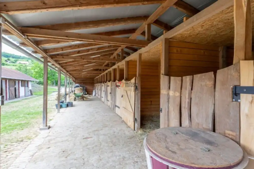 Tolna megye - Szekszárd