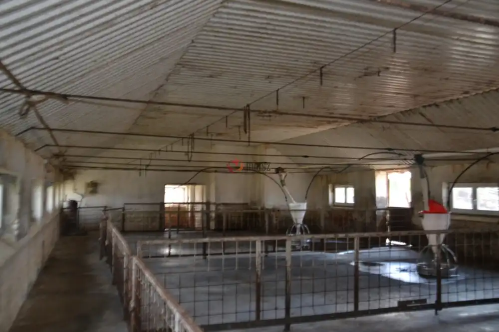 Jász-Nagykun-Szolnok megye - Szolnok