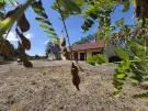 Jász-Nagykun-Szolnok megye - Tiszaigar