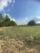 Csongrád megye - Zákányszék