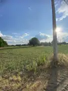 Csongrád megye - Zákányszék