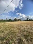 Csongrád megye - Zákányszék