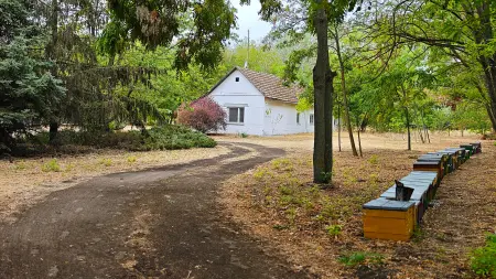 eladó tanya, Zsombó
