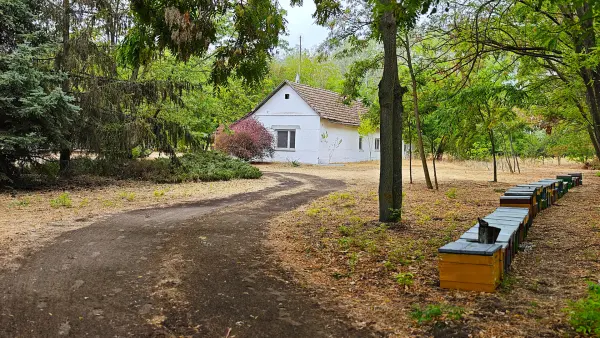 Eladó tanya, Zsombó 3 szoba 92 m² 27 M Ft