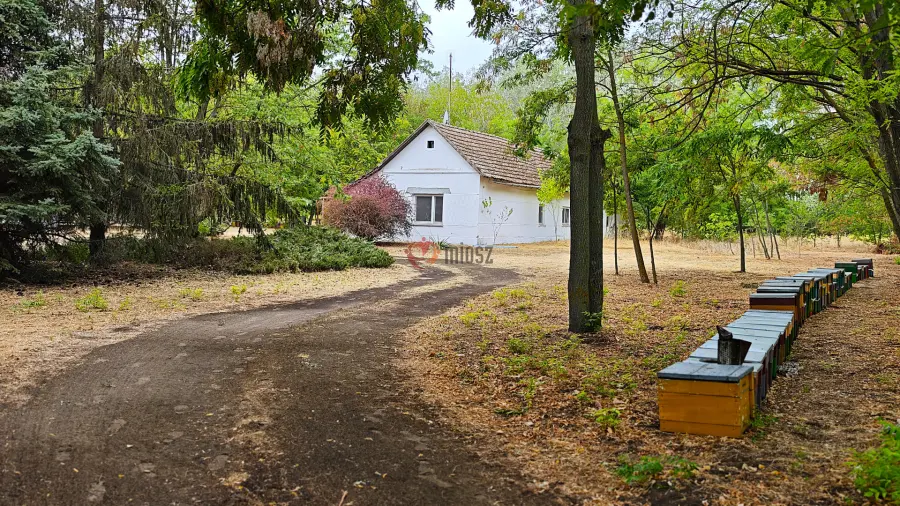 eladó tanya, Zsombó