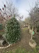 Somogy megye - Balatonboglár-Szőlőskislak