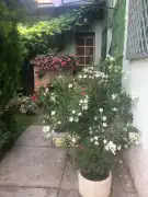Békés megye - Békéscsaba