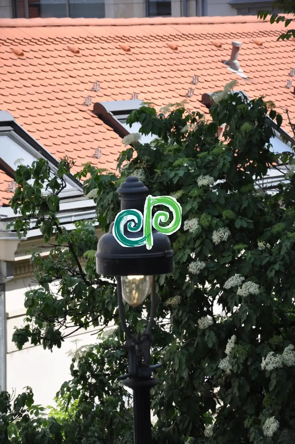 Budapest, I. kerület - Gellérthegy