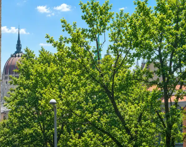 Eladó téglalakás, Budapest, II. kerület 3 szoba 100 m² 169.9 M Ft