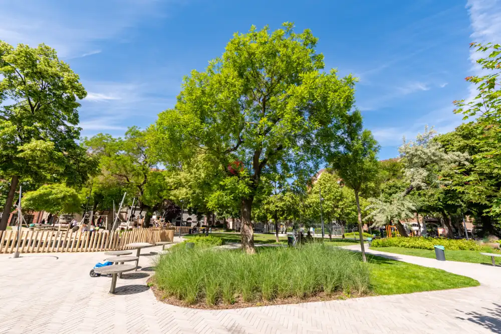 Budapest, VII. kerület - Erzsébetváros (Nagykörúton belül)