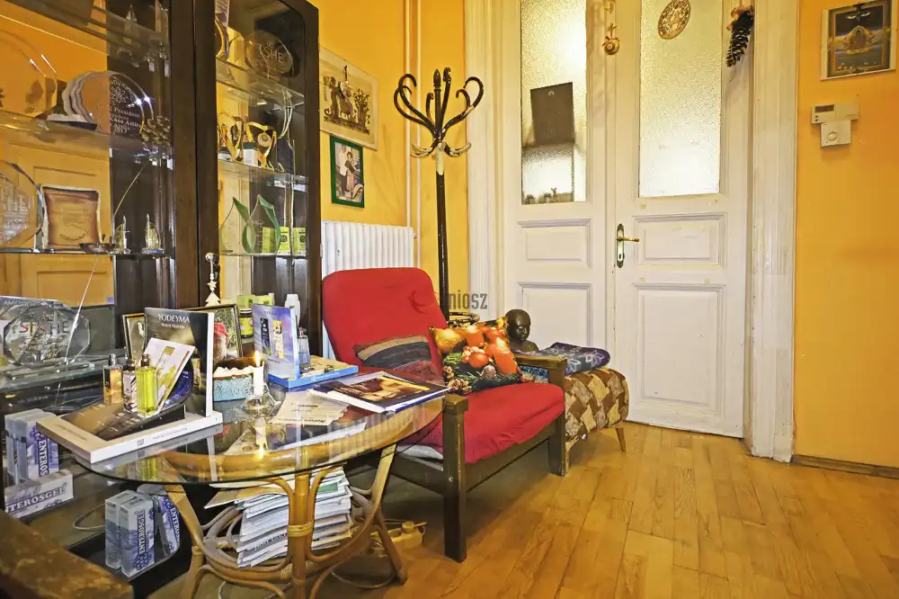 Budapest, VIII. kerület - Népszínház negyed