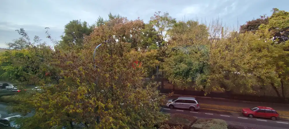 Budapest, VIII. kerület - Józsefváros – Ganznegyed