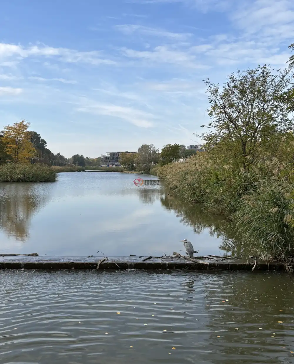 Budapest, XI. kerület - Kőérberek
