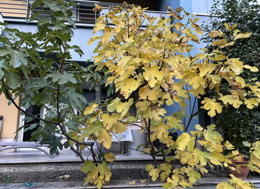 Budapest, XI. kerület - Kőérberek