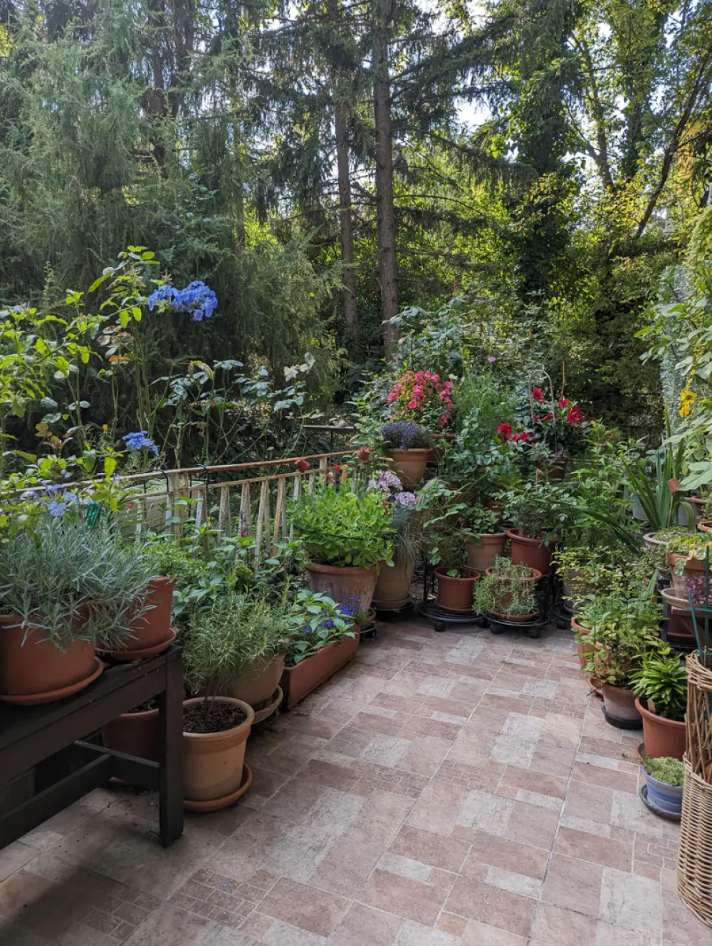 Budapest, XII. kerület - Istenhegy