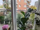 Budapest, XXI. kerület - Belváros